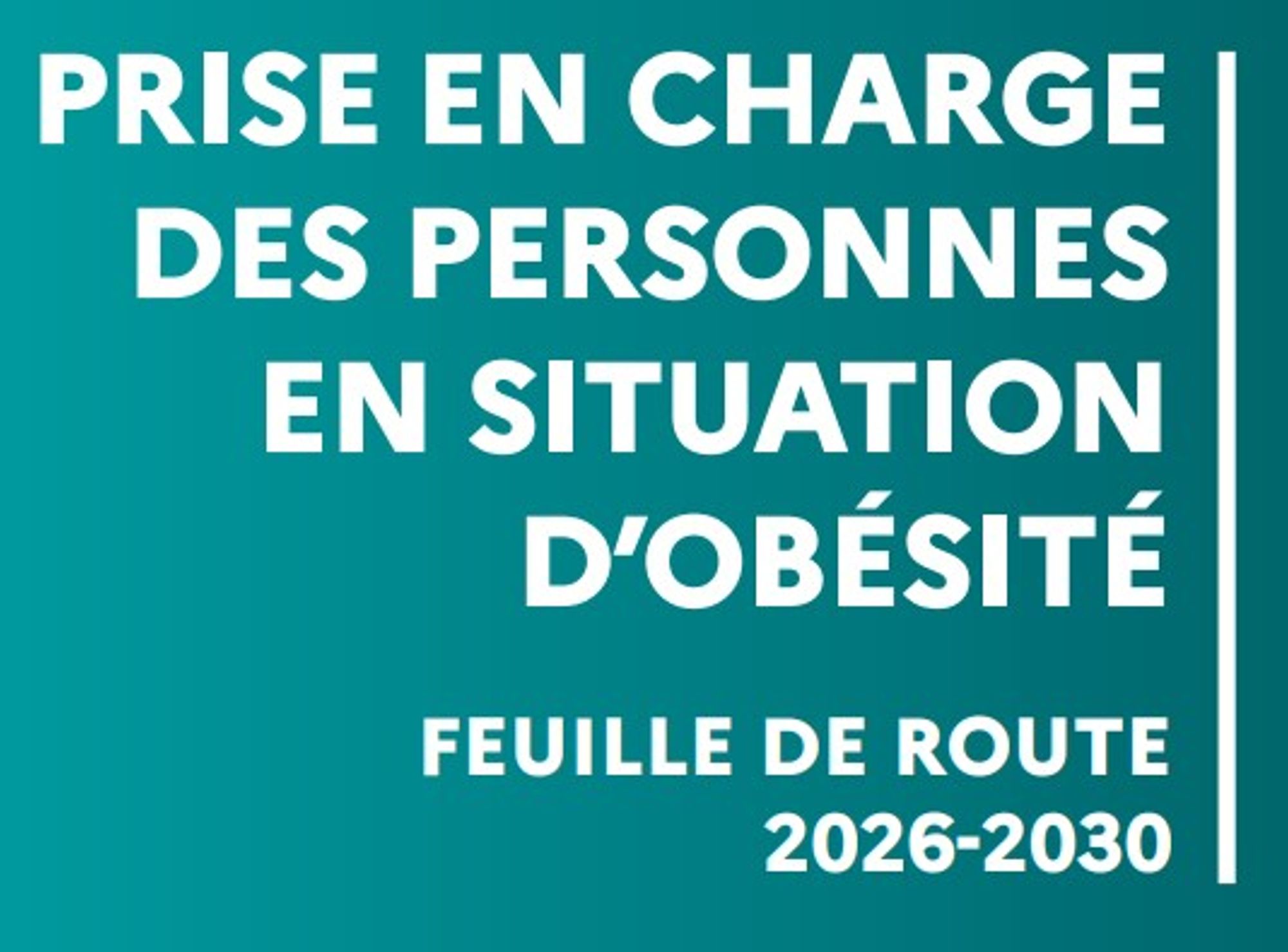 Lancement de la feuille de route 2026-2030 pour la prise en charge des personnes en situation d’obésité
